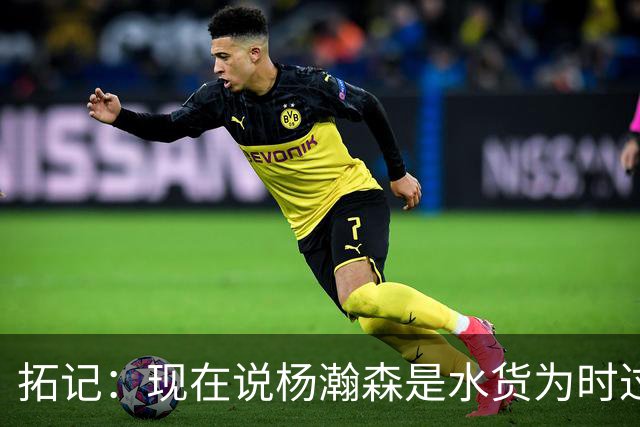 拓记：现在说杨瀚森是水货为时过早 他可能到第三年才会兑现天赋